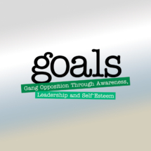 Goals Logo