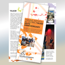 YAAW Brochure